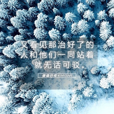 Picture 05 - 使 徒 行 传 4:14 CUVS - 又 看 见 那 治 好 了 的 人 和 他 们 - Bible Verse Picture