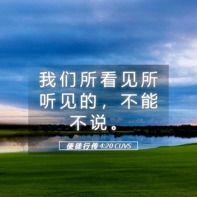Picture 05 - 使 徒 行 传 4:20 CUVS - 我 们 所 看 见 所 听 见 的 ， 不 能 - Bible Verse Picture