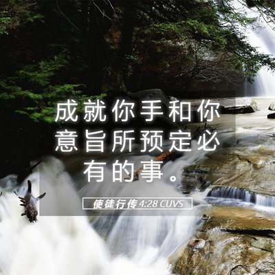 Picture 05 - 使 徒 行 传 4:28 CUVS - 成 就 你 手 和 你 意 旨 所 预 定 必 - Bible Verse Picture