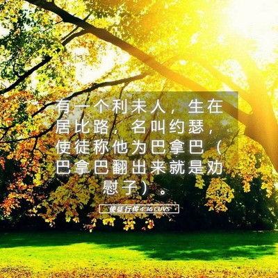 Picture 05 - 使 徒 行 传 4:36 CUVS - 有 一 个 利 未 人 ， 生 在 居 比 路 - Bible Verse Picture