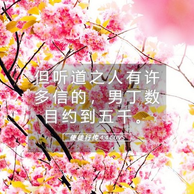 Picture 05 - 使 徒 行 传 4:4 CUVS - 但 听 道 之 人 有 许 多 信 的 ， 男 - Bible Verse Picture