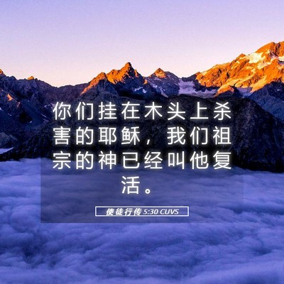 Picture 05 - 使 徒 行 传 5:30 CUVS - 你 们 挂 在 木 头 上 杀 害 的 耶 稣 - Bible Verse Picture
