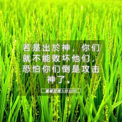 Picture 05 - 使 徒 行 传 5:39 CUVS - 若 是 出 於 神 ， 你 们 就 不 能 败 - Bible Verse Picture