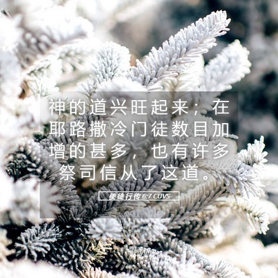 Picture 05 - 使 徒 行 传 6:7 CUVS - 神 的 道 兴 旺 起 来 ； 在 耶 路 撒 - Bible Verse Picture