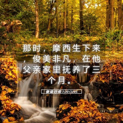 Picture 05 - 使 徒 行 传 7:20 CUVS - 那 时 ， 摩 西 生 下 来 ， 俊 美 非 - Bible Verse Picture