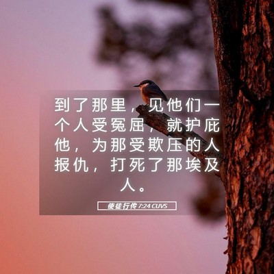 Picture 05 - 使 徒 行 传 7:24 CUVS - 到 了 那 里 ， 见 他 们 一 个 人 受 - Bible Verse Picture