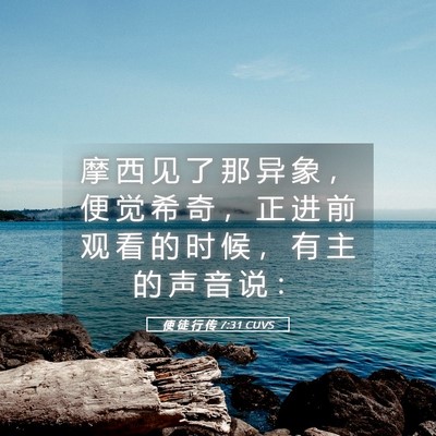 Picture 05 - 使 徒 行 传 7:31 CUVS - 摩 西 见 了 那 异 象 ， 便 觉 希 奇 - Bible Verse Picture