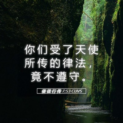 Picture 05 - 使 徒 行 传 7:53 CUVS - 你 们 受 了 天 使 所 传 的 律 法 ， - Bible Verse Picture