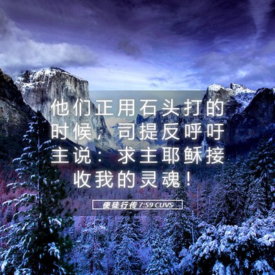 Picture 05 - 使 徒 行 传 7:59 CUVS - 他 们 正 用 石 头 打 的 时 候 ， 司 - Bible Verse Picture