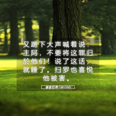 Picture 05 - 使 徒 行 传 7:60 CUVS - 又 跪 下 大 声 喊 着 说 ： 主 阿 ， - Bible Verse Picture