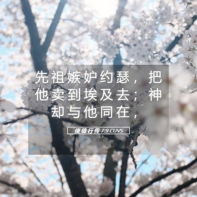 Picture 05 - 使 徒 行 传 7:9 CUVS - 先 祖 嫉 妒 约 瑟 ， 把 他 卖 到 埃 - Bible Verse Picture