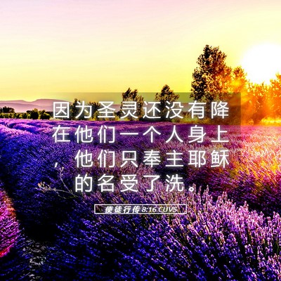 Picture 05 - 使 徒 行 传 8:16 CUVS - 因 为 圣 灵 还 没 有 降 在 他 们 一 - Bible Verse Picture
