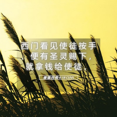 Picture 05 - 使 徒 行 传 8:18 CUVS - 西 门 看 见 使 徒 按 手 ， 便 有 圣 - Bible Verse Picture