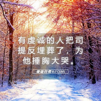 Picture 05 - 使 徒 行 传 8:2 CUVS - 有 虔 诚 的 人 把 司 提 反 埋 葬 了 - Bible Verse Picture