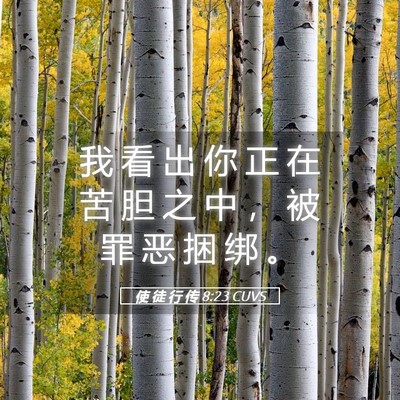 Picture 05 - 使 徒 行 传 8:23 CUVS - 我 看 出 你 正 在 苦 胆 之 中 ， 被 - Bible Verse Picture