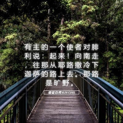 Picture 05 - 使 徒 行 传 8:26 CUVS - 有 主 的 一 个 使 者 对 腓 利 说 ： - Bible Verse Picture