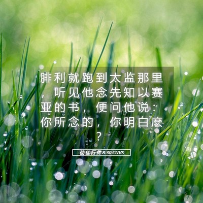 Picture 05 - 使 徒 行 传 8:30 CUVS - 腓 利 就 跑 到 太 监 那 里 ， 听 见 - Bible Verse Picture