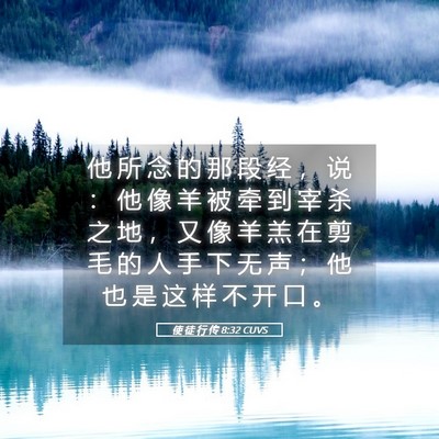 Picture 05 - 使 徒 行 传 8:32 CUVS - 他 所 念 的 那 段 经 ， 说 ： 他 像 - Bible Verse Picture
