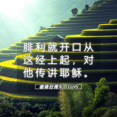 Picture 05 - 使 徒 行 传 8:35 CUVS - 腓 利 就 开 口 从 这 经 上 起 ， 对 - Bible Verse Picture