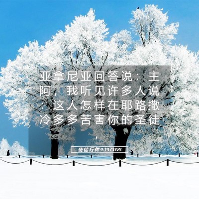 Picture 05 - 使 徒 行 传 9:13 CUVS - 亚 拿 尼 亚 回 答 说 ： 主 阿 ， 我 - Bible Verse Picture