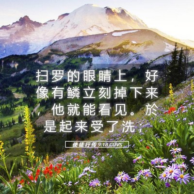 Picture 05 - 使 徒 行 传 9:18 CUVS - 扫 罗 的 眼 睛 上 ， 好 像 有 鳞 立 - Bible Verse Picture