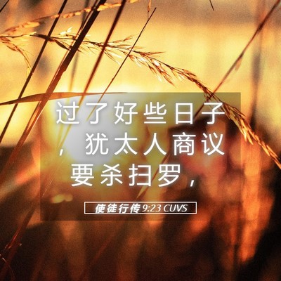 Picture 05 - 使 徒 行 传 9:23 CUVS - 过 了 好 些 日 子 ， 犹 太 人 商 议 - Bible Verse Picture