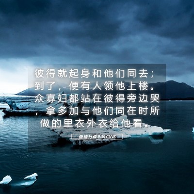 Picture 05 - 使 徒 行 传 9:39 CUVS - 彼 得 就 起 身 和 他 们 同 去 ； 到 - Bible Verse Picture