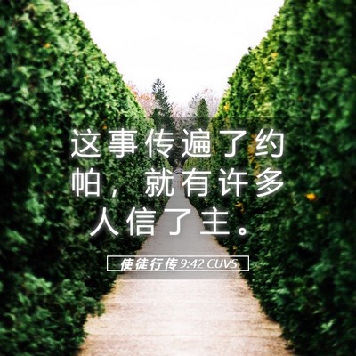 Picture 05 - 使 徒 行 传 9:42 CUVS - 这 事 传 遍 了 约 帕 ， 就 有 许 多 - Bible Verse Picture