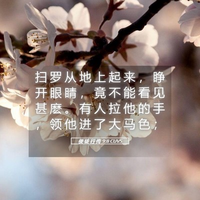 Picture 05 - 使 徒 行 传 9:8 CUVS - 扫 罗 从 地 上 起 来 ， 睁 开 眼 睛 - Bible Verse Picture