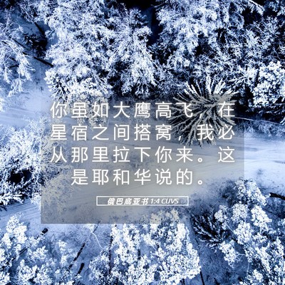 Picture 05 - 俄 巴 底 亚 书 1:4 CUVS - 你 虽 如 大 鹰 高 飞 ， 在 星 宿 之 - Bible Verse Picture