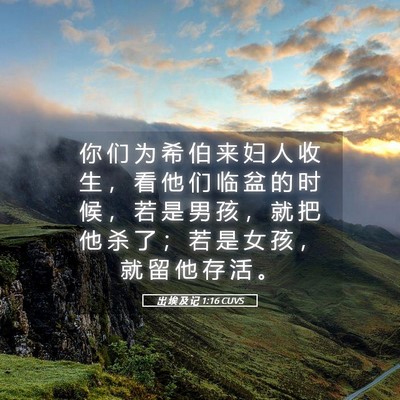 Picture 05 - 出 埃 及 记 1:16 CUVS - 你 们 为 希 伯 来 妇 人 收 生 ， 看 - Bible Verse Picture