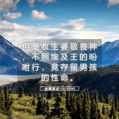 Picture 05 - 出 埃 及 记 1:17 CUVS - 但 是 收 生 婆 敬 畏 神 ， 不 照 埃 - Bible Verse Picture