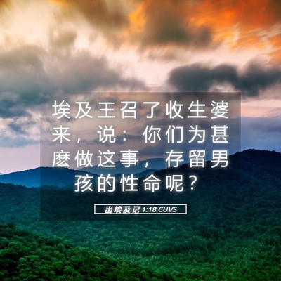 Picture 05 - 出 埃 及 记 1:18 CUVS - 埃 及 王 召 了 收 生 婆 来 ， 说 ： - Bible Verse Picture