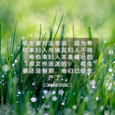 Picture 05 - 出 埃 及 记 1:19 CUVS - 收 生 婆 对 法 老 说 ： 因 为 希 伯 - Bible Verse Picture