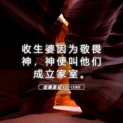 Picture 05 - 出 埃 及 记 1:21 CUVS - 收 生 婆 因 为 敬 畏 神 ， 神 便 叫 - Bible Verse Picture