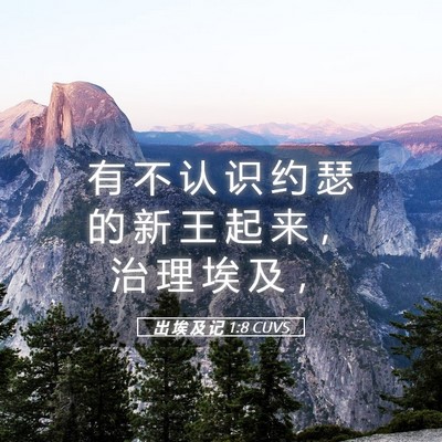Picture 05 - 出 埃 及 记 1:8 CUVS - 有 不 认 识 约 瑟 的 新 王 起 来 ， - Bible Verse Picture
