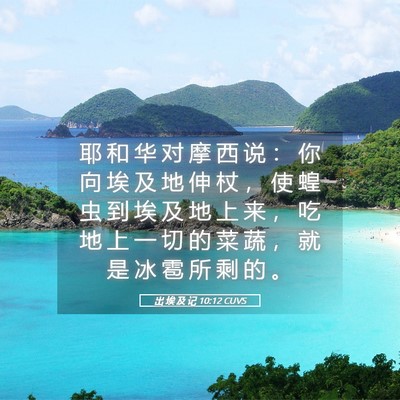 Picture 05 - 出 埃 及 记 10:12 CUVS - 耶 和 华 对 摩 西 说 ： 你 向 埃 及 - Bible Verse Picture
