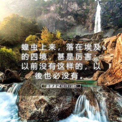 Picture 05 - 出 埃 及 记 10:14 CUVS - 蝗 虫 上 来 ， 落 在 埃 及 的 四 境 - Bible Verse Picture