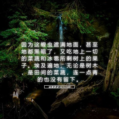 Picture 05 - 出 埃 及 记 10:15 CUVS - 因 为 这 蝗 虫 遮 满 地 面 ， 甚 至 - Bible Verse Picture