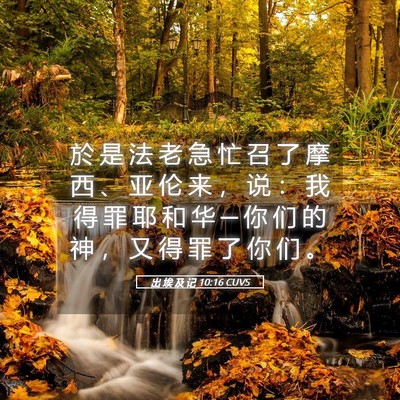 Picture 05 - 出 埃 及 记 10:16 CUVS - 於 是 法 老 急 忙 召 了 摩 西 、 亚 - Bible Verse Picture