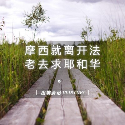 Picture 05 - 出 埃 及 记 10:18 CUVS - 摩 西 就 离 开 法 老 去 求 耶 和 华 - Bible Verse Picture