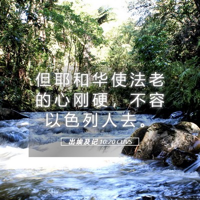 Picture 05 - 出 埃 及 记 10:20 CUVS - 但 耶 和 华 使 法 老 的 心 刚 硬 ， - Bible Verse Picture