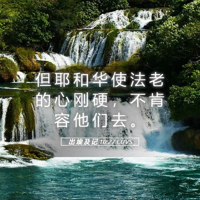 Picture 05 - 出 埃 及 记 10:27 CUVS - 但 耶 和 华 使 法 老 的 心 刚 硬 ， - Bible Verse Picture