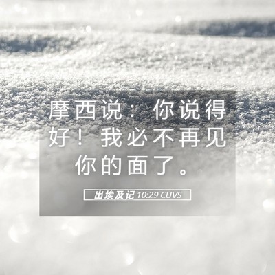 Picture 05 - 出 埃 及 记 10:29 CUVS - 摩 西 说 ： 你 说 得 好 ！ 我 必 不 - Bible Verse Picture