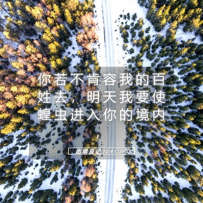 Picture 05 - 出 埃 及 记 10:4 CUVS - 你 若 不 肯 容 我 的 百 姓 去 ， 明 - Bible Verse Picture