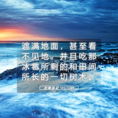 Picture 05 - 出 埃 及 记 10:5 CUVS - 遮 满 地 面 ， 甚 至 看 不 见 地 ， - Bible Verse Picture