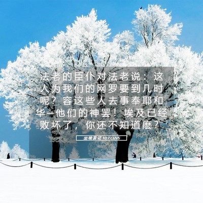Picture 05 - 出 埃 及 记 10:7 CUVS - 法 老 的 臣 仆 对 法 老 说 ： 这 人 - Bible Verse Picture
