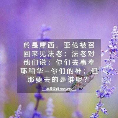 Picture 05 - 出 埃 及 记 10:8 CUVS - 於 是 摩 西 、 亚 伦 被 召 回 来 见 - Bible Verse Picture
