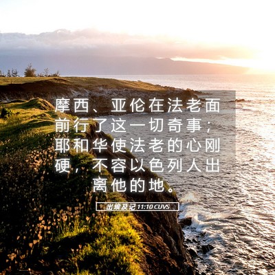 Picture 05 - 出 埃 及 记 11:10 CUVS - 摩 西 、 亚 伦 在 法 老 面 前 行 了 - Bible Verse Picture
