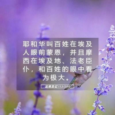 Picture 05 - 出 埃 及 记 11:3 CUVS - 耶 和 华 叫 百 姓 在 埃 及 人 眼 前 - Bible Verse Picture